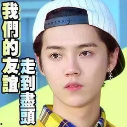 搜狐娱乐明星吃瓜,明星吃瓜大揭秘